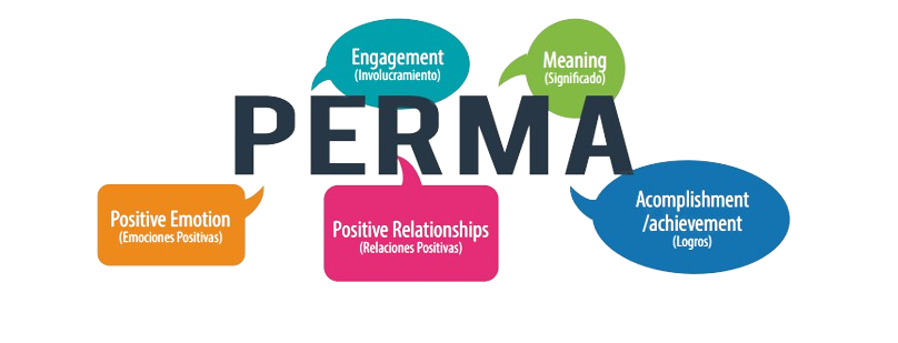 Captura_de_pantalla_2024-06-04_161440-removebg-preview